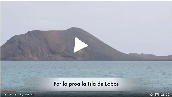 Lobos_Video