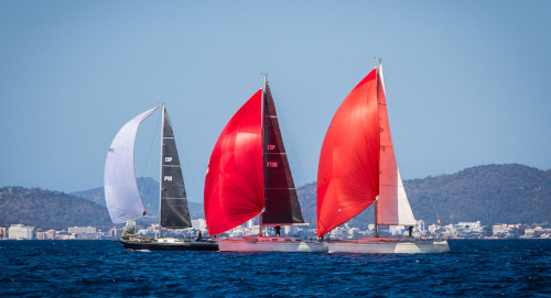 Palma_178955_20250330181660