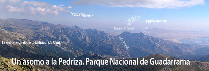 Panorámica_de_La_Pedriza