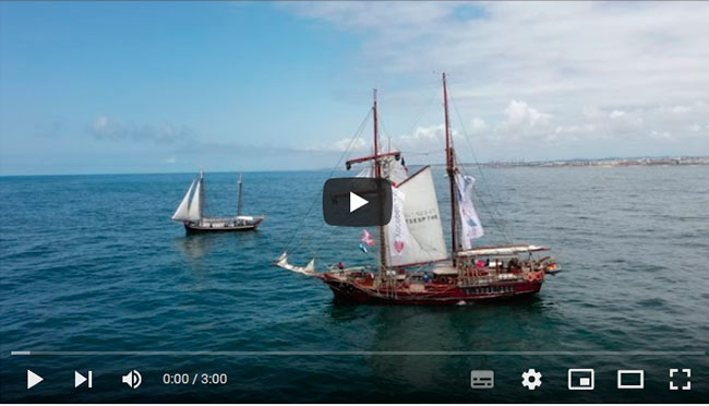 Video-salidaopo