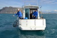 Arranca la Liga de Pesca al chambel en Altea