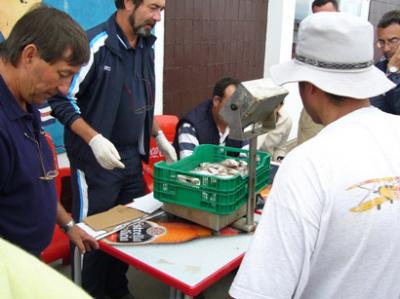 El Club Nautico Caramiñal organiza el 9 de agosto un concurso de pesca deportiva.