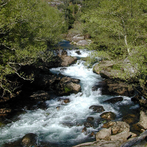 Río Almofrei. Pontevedra