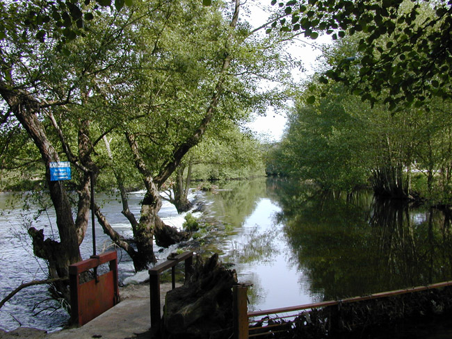 Presa de Acearrica