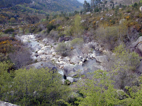 Cauce alto del río Caldo