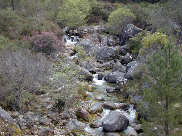 Entre piedras valle abajo