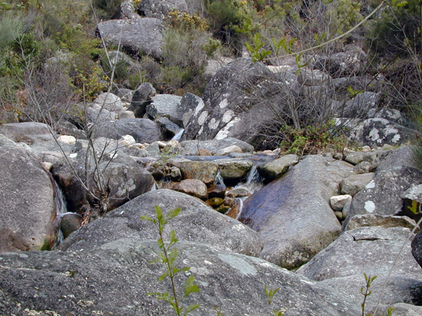 Nacimiento en Portela de Homen