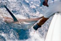 HEDONIST  de Pasito Blanco, con Manuel Ramírez de patrón fue el vencedor absoluto del VIII Concurso de Pesca de Altura del RCN Gran Canaria