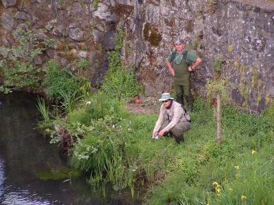 VI Campeonato de Pesca Fluvial Concejo de Rois (A Coruña)