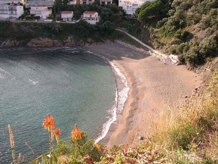 Platja de Cau del Llop (Llança)