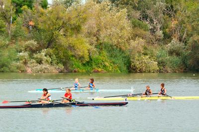 Celebrada la 4ª regata de la Copa de Andalucía de remo. Medallas para los clubes de Sevilla, Cádiz y Almería