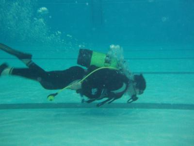 Campeonato Comunidad Valenciana de buceo deportivo, que se celebra el sábado en la piscina de las Escuelas San José de Valencia.