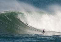 QUIKSILVER VUELVE A DESATAR EN SANTANDER A SU “VACA GIGANTE”