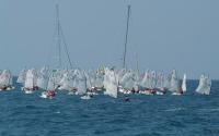 El Roga Cuca Campeonato Autonómico por Equipos 2008 de la clase Optimist se celebrará en aguas de Dénia los días 21 y 22 de junio