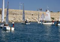 Éxito de participación en el Trofeo Estival 2008 del RCN Gandía. El Club se prepara para el Campeonato de España de Láser