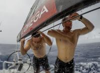 El Vestas 11th Hour se hace con el liderato y se encuentra con una ballena