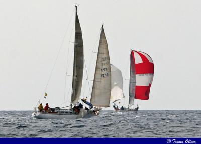 "Calima", "Admirable", "Rampe II" y "Rolling Stock" se adjudican el Trofeo Hispanidad del Real Club Náutico de Palma