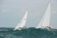 El barco ‘Dos Disparates’ de Luis del Castillo se adjudica el Trofeo Marlin Café sobre una bahía de Cádiz espectacular