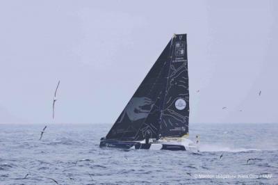 Arkea Ultim Challenge Brest.: Historias de albatros