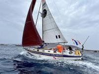 Golden Globe Race. Guy y Elliott luchan por llegar a Hobart Gate antes de que cierre el 31 de enero.