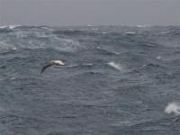 Vendée Globe: Se liman diferencias con el lider. La flota espera una nochebuena... mala