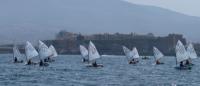 Arranca el III Trofeo de vela ligera RCMM-MSC con dos pruebas para toda la flota 