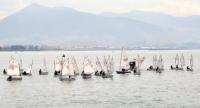 DISPUTADO EL CAMPEONATO DE SANTOÑA DE VELA LIGERA - TROFEO A. P. DEPORTIVA