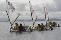 Excelentes resultados para el Náutico de Riveira en la clasifcatoria de optimist