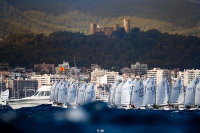 La primera jornada de la Regata Audax Marina llena de velas la Bahía de Palma