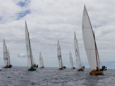 La Federación de Vela Latina Canaria de Botes suspende de manera unilateral el Encuentro de Botes y Barquillos