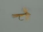 Tricóptero en Pluma de León