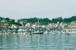 Baiona