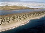Playa de Almerimar / San Miguel Levante y Playa de Cerillos (El Ejido) 