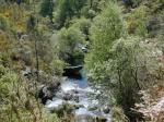 Río abajo en primavera