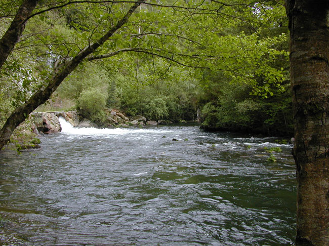 Otra salida de minice....