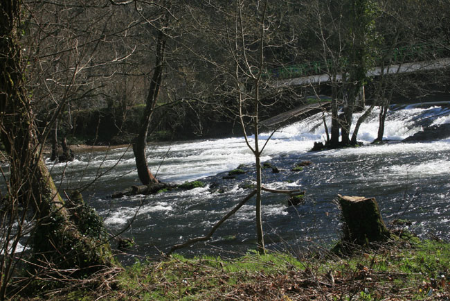 Reino del rey del río