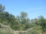 El primer puente sobre el Ebro