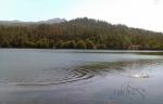 Embalse de Zamáns