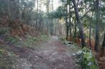 Primera parte del sendero