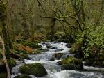 Aguas abajo de la cascada
