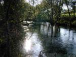 Rio Castro.