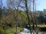 Río Zamáns por Gondomar