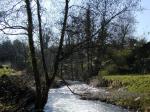 Río Zamáns por Gondomar