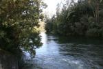 Aguas turbulentas