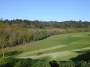 Entre prados, mostes y bosques de ribera