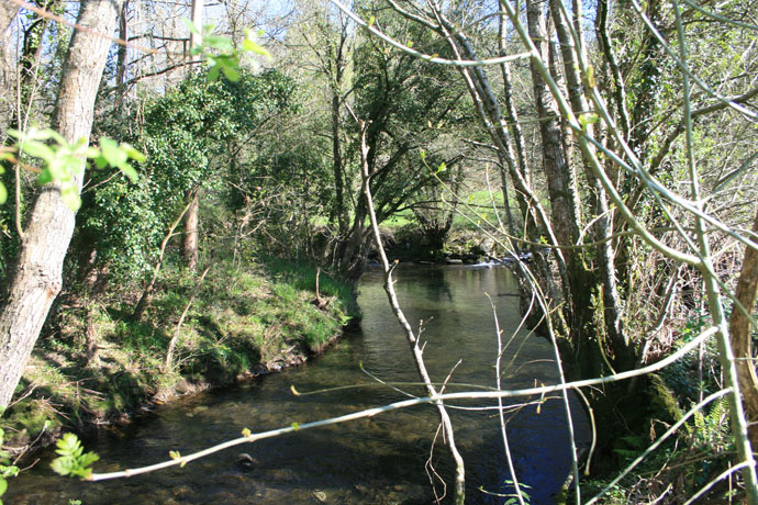 Río Tines
