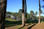 Bosque