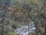 Río de Mougas