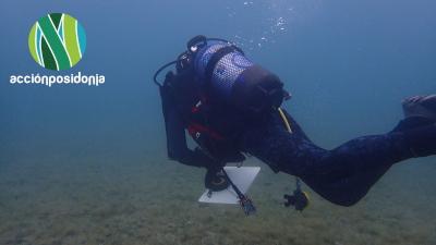 Acción Posidonia, impulsa la restauración marina a través de reforestación de praderas y la colaboración pesquera Acción Posidonia, impulsa la restauración marina a través de reforestación de praderas y la colaboración pesquera