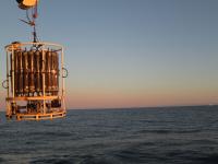 Científicas del IEO-CSIC participan en una investigación internacional para profundizar en el conocimiento del estado de salud de los océanos